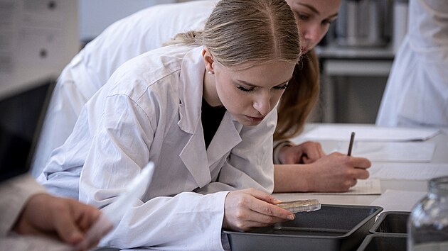 Studenti Středn&iacute; zahradnick&eacute; &scaron;koly v Ostravě mohou nyn&iacute; využ&iacute;vat tři nově otevřen&eacute; laboratoře. V jedn&eacute; z laboratoř&iacute; se seznamuj&iacute; s novou metodou množen&iacute; rostlin, v dal&scaron;&iacute; se uč&iacute; starat o hydroponie a v posledn&iacute; zkoumaj&iacute; vliv světla na růst rostlin.