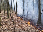 V ulici Pod Šancemi v Praze 9 hoří porost, hasiči používají několik vodních... V ulici Pod Šancemi v Praze 9 hoří porost, hasiči používají několik vodních...