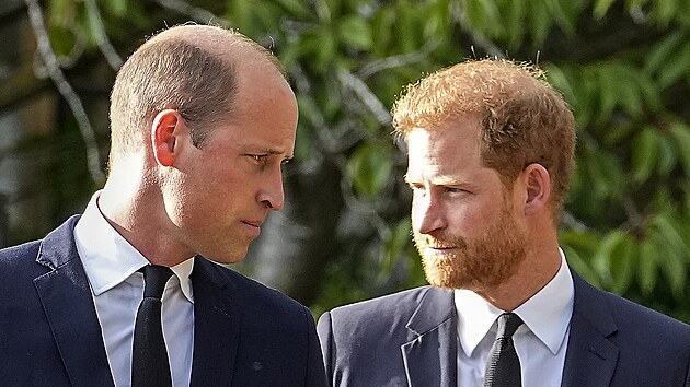 Princ William a princ Harry (Windsor, 10. záí 2022)