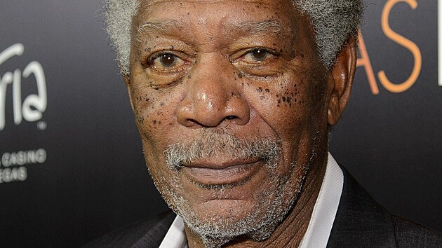 Morgan Freeman (18. jna 2013)