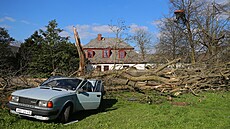 Zniená stará kodovka, na kterou spadl mohutný strom. A trampolína vysoko v...