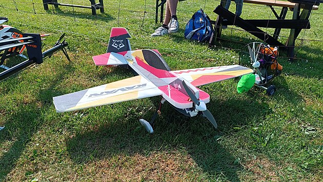 Některé modely se nesnaží napodobovat skutečná letadla, rozhodující jsou jejich letové vlastnosti.