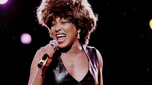 Zpvaka Tina Turner (27. jna 1993)