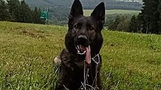 Policejní pes Miník