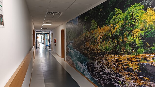 V zázemí nemocnice nechybí jídelna, dílna pro pracovní terapie nebo společenská místnost. Třicet nových lůžek je rozmístěných do dvanácti pokojů.