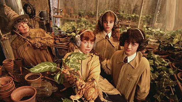 Miriam Margolyesov, Rupert Grint, Emma Watsonov a Daniel Radcliffe ve filmu Harry Potter a Tajemn komnata (2002)