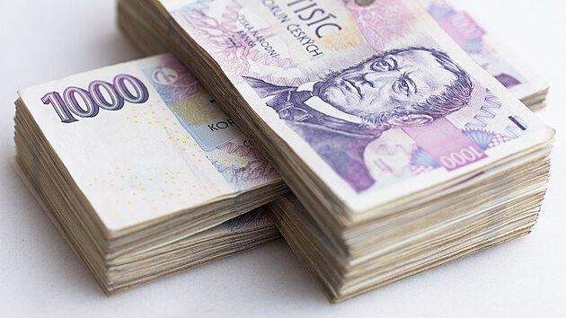 Doplňkové penzijní spoření je jednou možností, jak si s podporou státu vytvořit finanční polštář na důchod. V novém „penzijku“, ve které je více už přes dva miliony Čechů, lze získat daňovou úlevu, státní příspěvek a zaměstnancům mohou přispět i zaměstnavatelé. Zhodnocení vkladů se pak odvíjí od zvolené investiční strategie. Které penzijní fondy zhodnocují vklady nejvíce? Doplňkové penzijní spoření je jednou možností, jak si s podporou státu vytvořit finanční polštář na důchod. V novém „penzijku“, ve které je více už přes dva miliony Čechů, lze získat daňovou úlevu, státní příspěvek a zaměstnancům mohou přispět i zaměstnavatelé. Zhodnocení vkladů se pak odvíjí od zvolené investiční strategie. Které penzijní fondy zhodnocují vklady nejvíce?