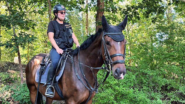 Policist na konch kontroluj chovn turist v nrodnm parku esk vcarsko. (7. ervence 2023)