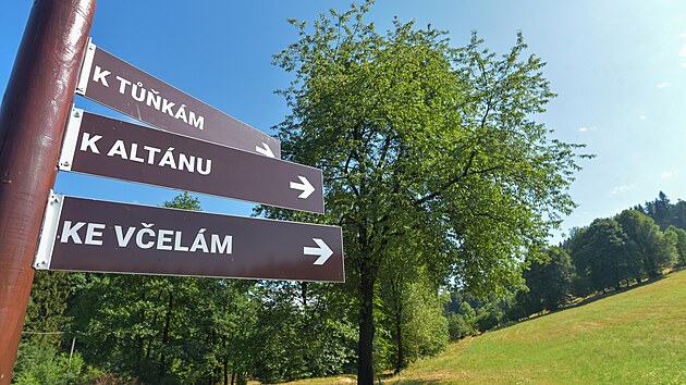 V Semetíně, který je součástí Vsetína, je na velké ploše k vidění na 800 druhů tradičních valašských, ale i cizokrajných dřevin. (červenec 2023)