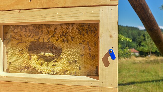 V Semetíně, který je součástí Vsetína, je na velké ploše k vidění na 800 druhů tradičních valašských, ale i cizokrajných dřevin. (červenec 2023)