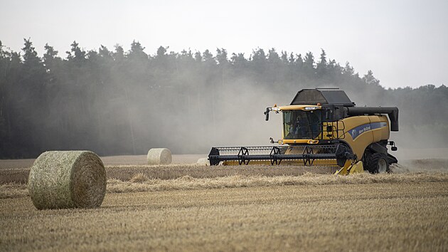 Počasí zemědělcům při sklizni nahrává. (10. července 2023)