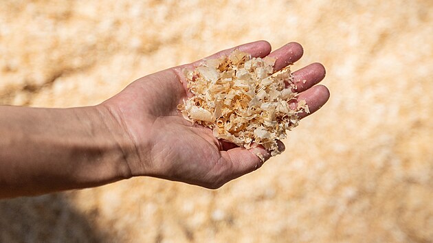 Hradec Králové dokončil unikátní běžecký okruh s povrchem ze štěpky a pilin. (11. července 2023)