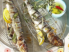 Grilované sardinky