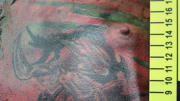 Na pravé straně hrudníku má muž tetování štíra a na levém rameni z boku tetování pravděpodobně se zvířecími motivy hada nebo mýtického draka. (23. července 2023)