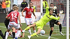 Branká Bohemians Michal Reichl zasahuje proti pardubickému útoníkovi Emilu...