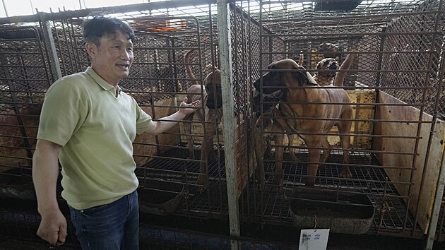 Farma v jihokorejskm Pjongteku chov psy pro maso. Jejm majitelem je Kim Jong-kil .(27. ervna 2023)