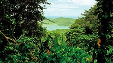 Darién Gap je rozlehlý, neprostupný a bažinatý deštný prales na hranicích... Darién Gap je rozlehlý, neprostupný a bažinatý deštný prales na hranicích...
