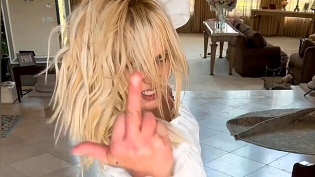 Britney Spears (srpen 2023)