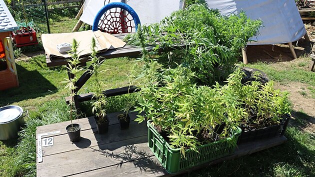 Policie v Brně kvůli drogám zadržela čtyři lidi. Zajistila 30 kilogramů léků, což představuje téměř sto tisíc pilulek, další suroviny na výrobu pervitinu, jiné drogy, telefony, výpočetní techniku a peníze. Konkrétně milion korun a 40 tisíc eur.