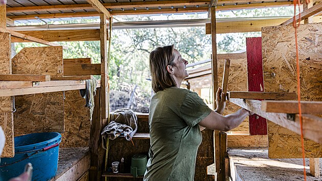V Hospodářství u kozy a petržele v Mouřínově na Vyškovsku se manželé Petra a Stanislav Kutáčkovi snaží žít a pracovat v souladu s přírodou. Chtějí mít spokojená zvířata a krajinu plnou života.