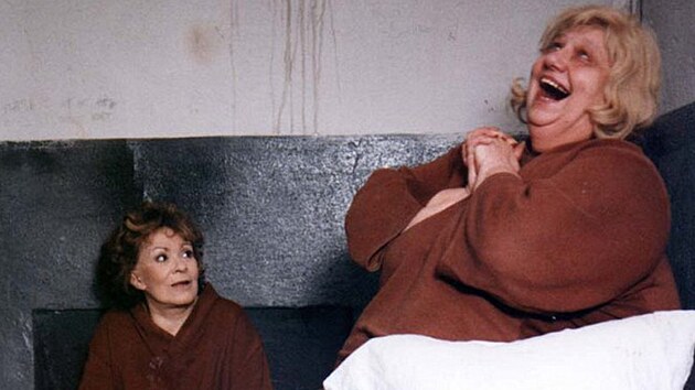 Jiina Bohdalov a Helena Rikov v serilu Ptelkyn z domu smutku (1992)