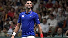 Novak Djokovi v duelu Davis Cupu s Alejandrem Davidovichem Fokinou ze...