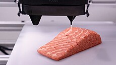 Veganské lososové filety vytitné na 3D tiskárn jsou od tohoto týdne k...