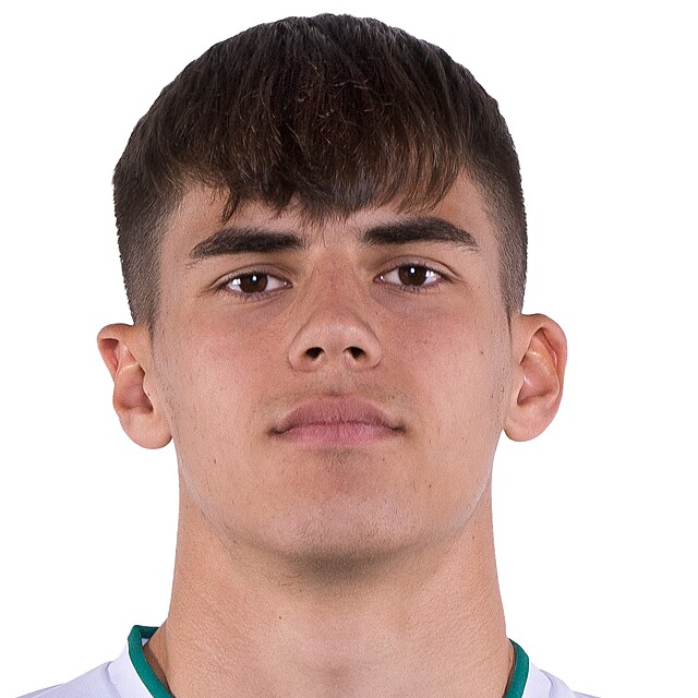 Matouš Krulich
