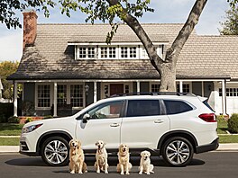 Americké zastoupení Subaru pokrauje ve své tradici vytváení oblíbených reklam...