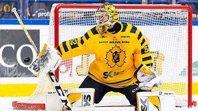 Ani byste nepoznali, že gólman Linus Söderström (Skellefteå) trpí...