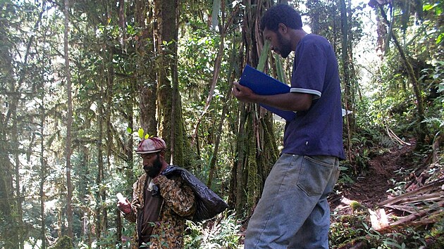 Prvn autor studie a vedouc papunsk expedice, Jimmy Moses (vpravo) spolu se svm asistentem pi pprav experimentu v horskm pralese hory Mt. Wilhelm na Papui Nov Guineji.