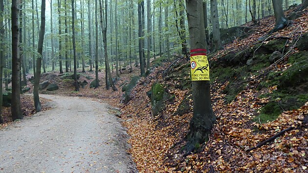 Cedule s nápisy „V nebezpečí neuhnu, bohužel jen vytuhnu“ nebo „Kdo zachrání mloka, zaslouží si loka“ aktuálně opět zdobí Viničnou cestu na severních svazích Jizerských hor. Důvodem je výskyt silně ohroženého druhu mloka skvrnitého. (listopad 2023)