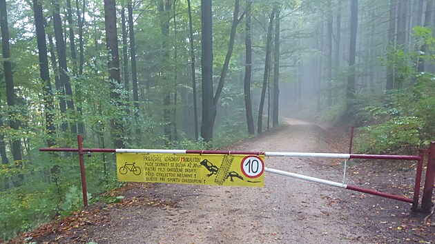 Cedule s nápisy „V nebezpečí neuhnu, bohužel jen vytuhnu“ nebo „Kdo zachrání mloka, zaslouží si loka“ aktuálně opět zdobí Viničnou cestu na severních svazích Jizerských hor. Důvodem je výskyt silně ohroženého druhu mloka skvrnitého. (listopad 2023)