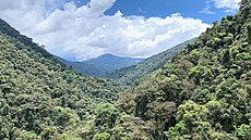 Pohled na panenské pralesy jedné ze studovaných velehor v Kordillerách v Jiní...