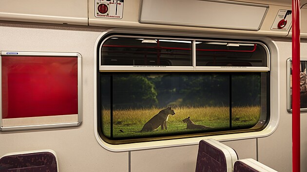 Ve středu začal v pražském metru mezi stanicemi Dejvická a Bořislavka zkušební provoz nového reklamně-informačního systému. Pomocí LED panelů se bude sdělení promítat přímo za okna projíždějícího metra. (15. listopadu 2023)