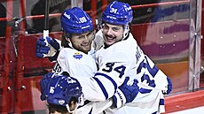 Hokejisté Toronta oslavují gól vstelený do sít Minnesoty.