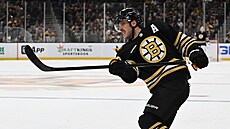 David Pastrák z Boston Bruins pi stele