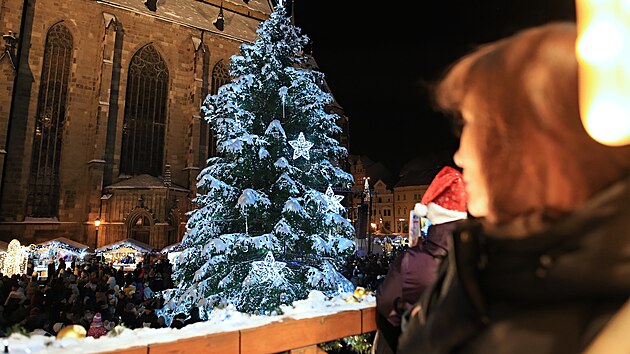 Slavnostní rozsvícení vánočního stromu na náměstí Republiky v Plzni (3. prosince 2023)