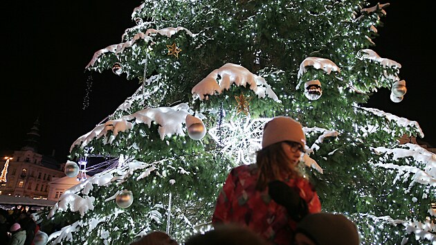 Slavnostní rozsvícení vánočního stromu na náměstí Republiky v Plzni (3. prosince 2023)