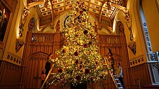 U v listopadu ozdobili vánoní strom ve Windsoru.