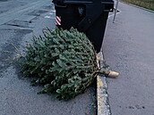 První stromky se v ulicích zaaly objevovat na konci roku.