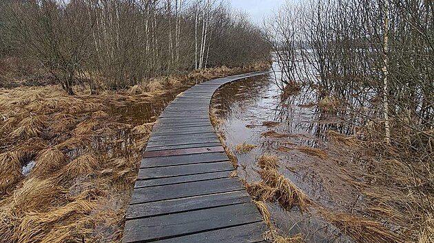 Vzedmutá hladina rybníka a okolních mokřadů mimo jiné na několika místech poškodila povalové chodníky, či je posunula mimo jejich ložiska.