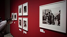 Výstava fotografií Roberta Doisenaua v Turín (15. íjna 2022)