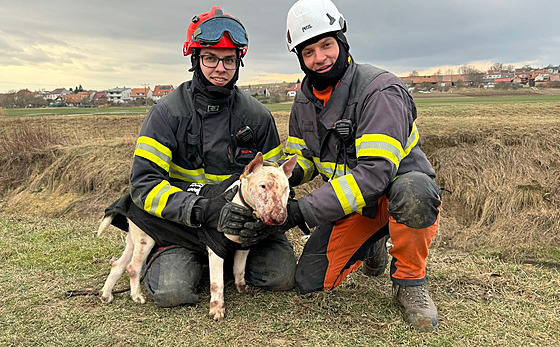 Hasii na Kyjovsku zachránili ze zasypané elezobetonové roury uvznného psa.