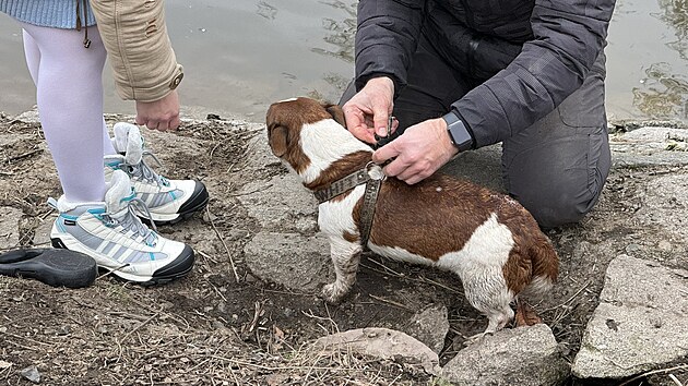 Pražští hasiči zachraňovali psa, který se zaběhl do nory za nutrií (12. prosince 2023)