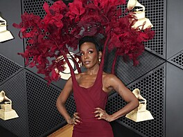 Dawn Richardová na udílení cen Grammy (Los Angeles, 4. února 2024)