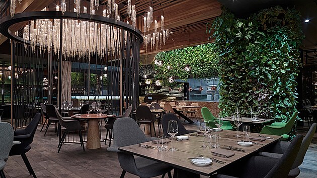 Jednou z odměn v rámci valentýnské akce transfuzní stanice olomoucké fakultní...