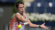Emma Navarrová v prvním kole turnaje v Dubaji.