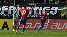 Fotbalisté Plzn slaví gól v utkání proti Bohemians.