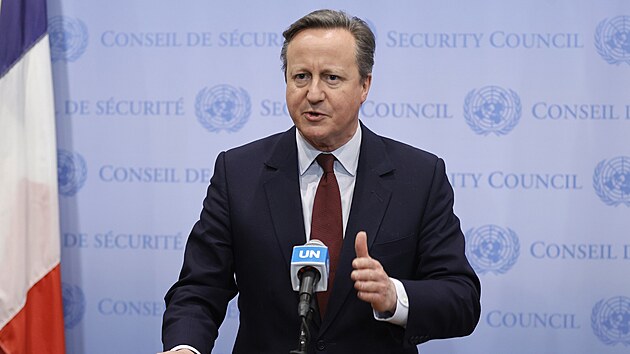 Britsk ministr zahrani David Cameron ped jednnm Rady bezpenosti OSN (23. nora 2024)
